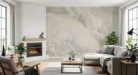 Neutral Stone Vein Texture Wall Mural