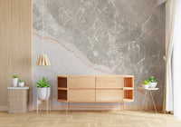 Serene Grey Marble Veining Wall Mural