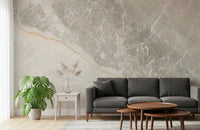Serene Grey Marble Veining Wall Mural