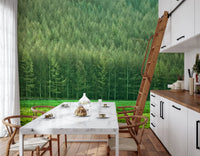 Verdant Woodland Valley Wall Mural