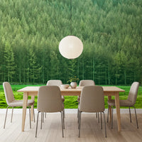 Verdant Woodland Valley Wall Mural