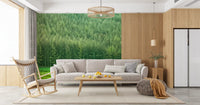 Verdant Woodland Valley Wall Mural