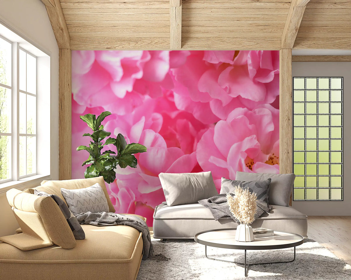 Macro Rose Petal Abstraction Wall Mural