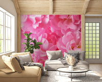 Macro Rose Petal Abstraction Wall Mural