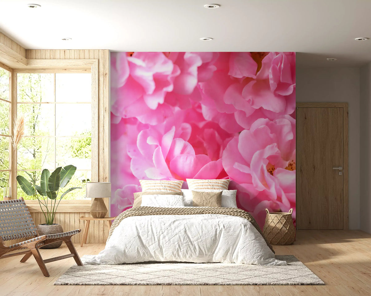 Macro Rose Petal Abstraction Wall Mural