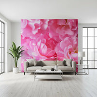 Macro Rose Petal Abstraction Wall Mural