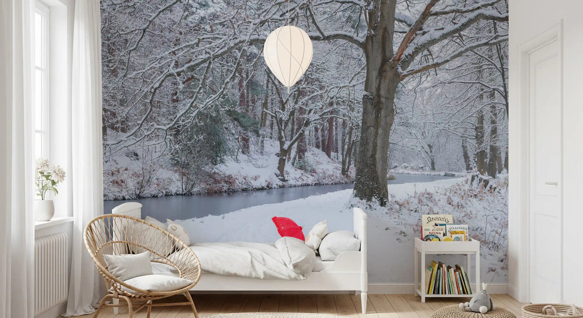 Frozen Creek and Red Umbrella Wall Mural