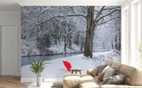 Frozen Creek and Red Umbrella Wall Mural