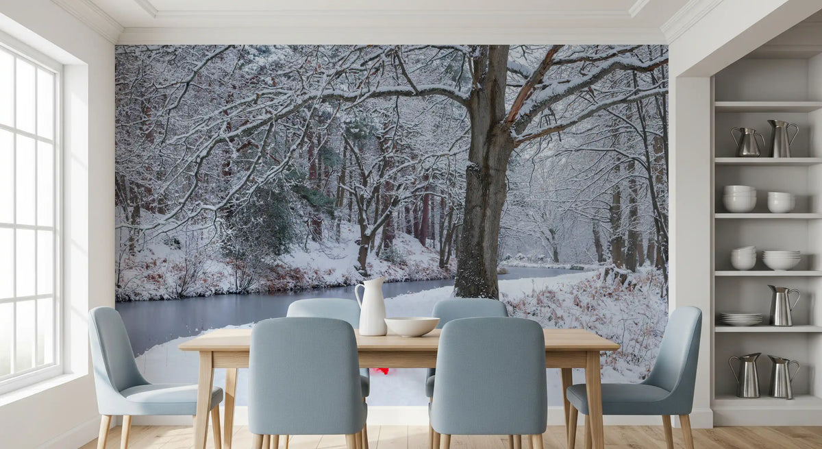 Frozen Creek and Red Umbrella Wall Mural