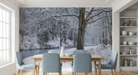 Frozen Creek and Red Umbrella Wall Mural