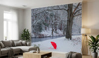 Frozen Creek and Red Umbrella Wall Mural