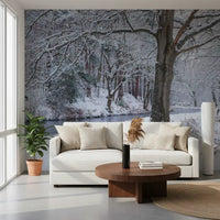 Frozen Creek and Red Umbrella Wall Mural