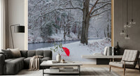 Frozen Creek and Red Umbrella Wall Mural