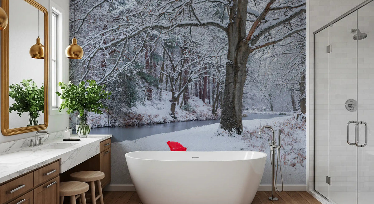 Frozen Creek and Red Umbrella Wall Mural