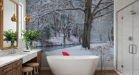 Frozen Creek and Red Umbrella Wall Mural