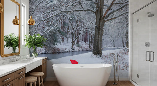 Frozen Creek and Red Umbrella Wall Mural