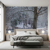 Frozen Creek and Red Umbrella Wall Mural