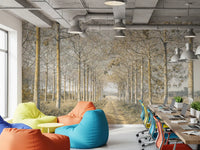 Rustic Forest Corridor Wall Mural
