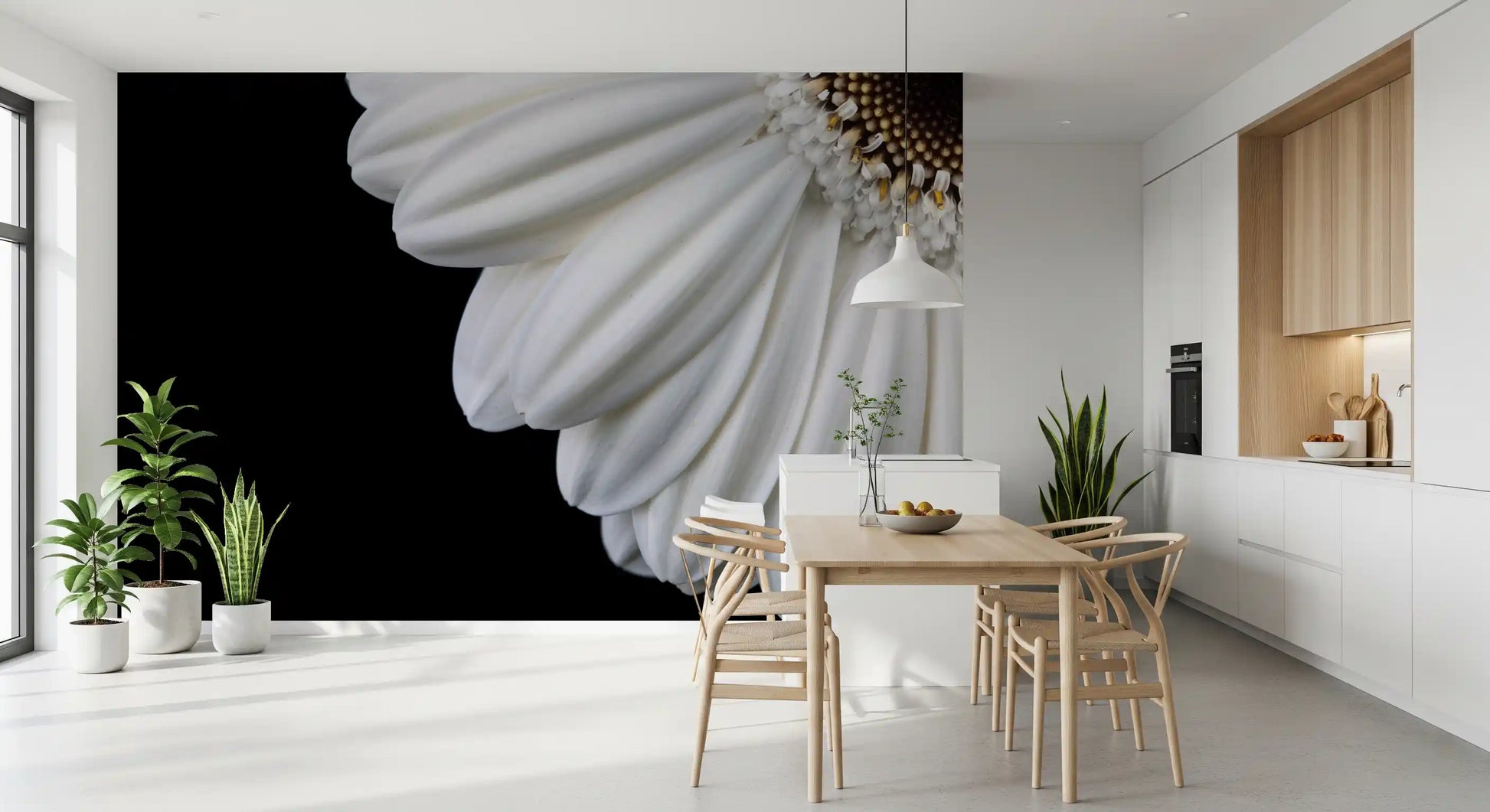 Monochrome Gerbera Macro Study Wall Mural