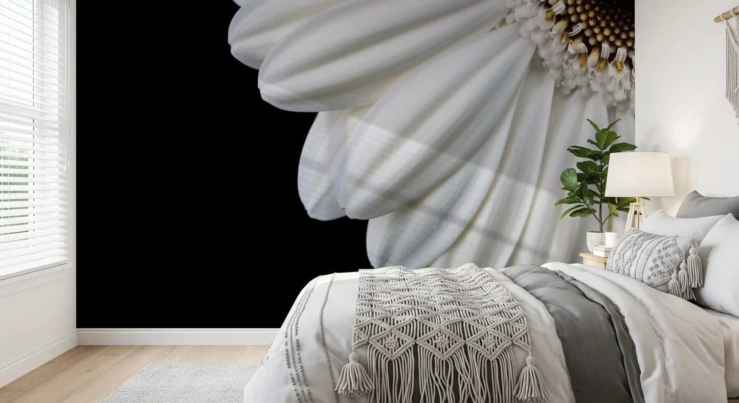 Monochrome Gerbera Macro Study Wall Mural