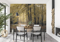 Muted Autumn Woodland Trail Wall Mural