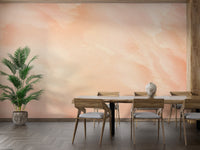 Peach melody Pantone watercolor wallpaper for walls

