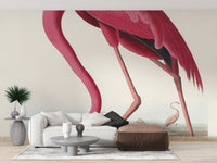 American flamingo wall mural print
