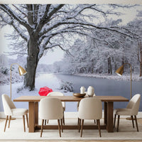 Frozen Canal Winter Wonderland Wall Mural