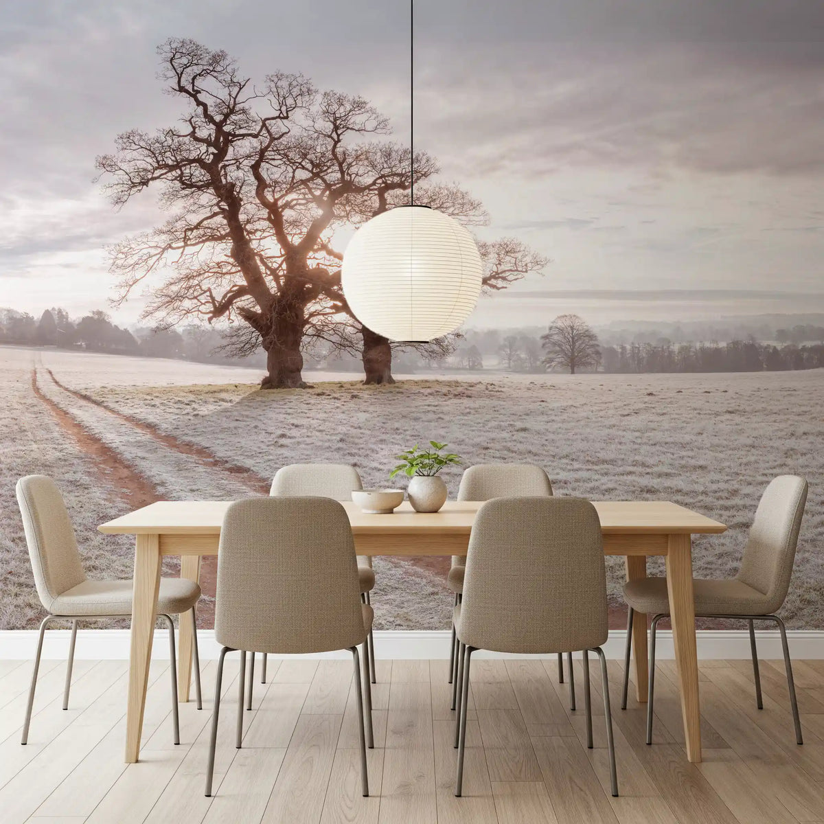 Misty Morning Meadow Wall Mural