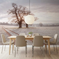 Misty Morning Meadow Wall Mural