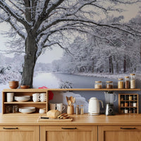 Frozen Canal Winter Wonderland Wall Mural