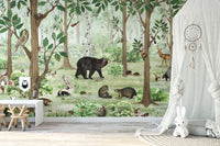 Forest Lookbook Wallpaper Murals - Giffywalls