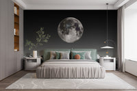 Elegant moonlit wall mural design
