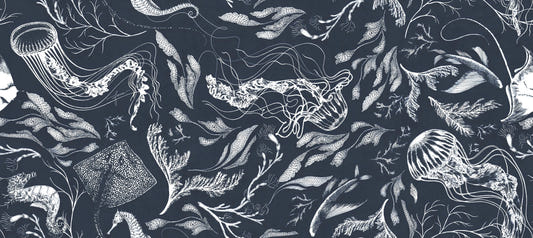 Dark Ocean Marine Life Wallpaper