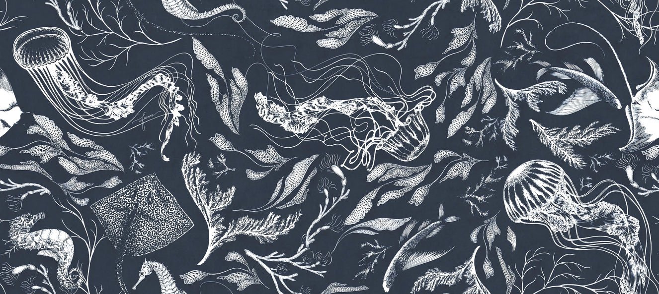 Dark Ocean Marine Life Wallpaper