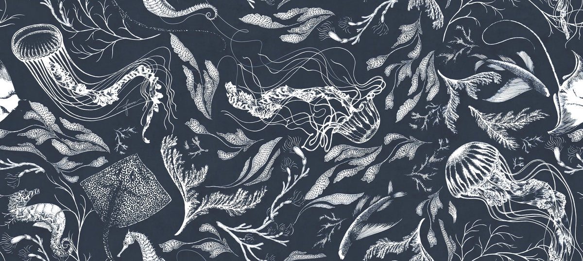 Dark Ocean Marine Life Wallpaper