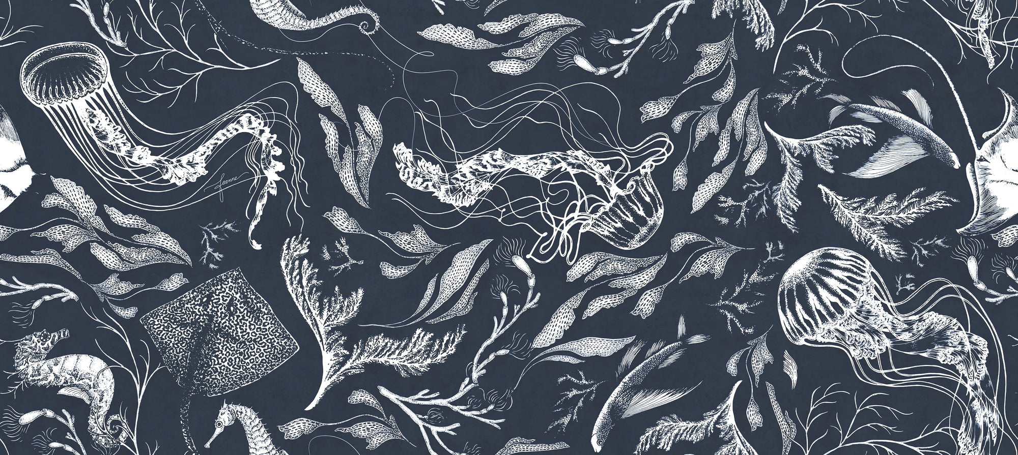 Dark Ocean Marine Life Wallpaper