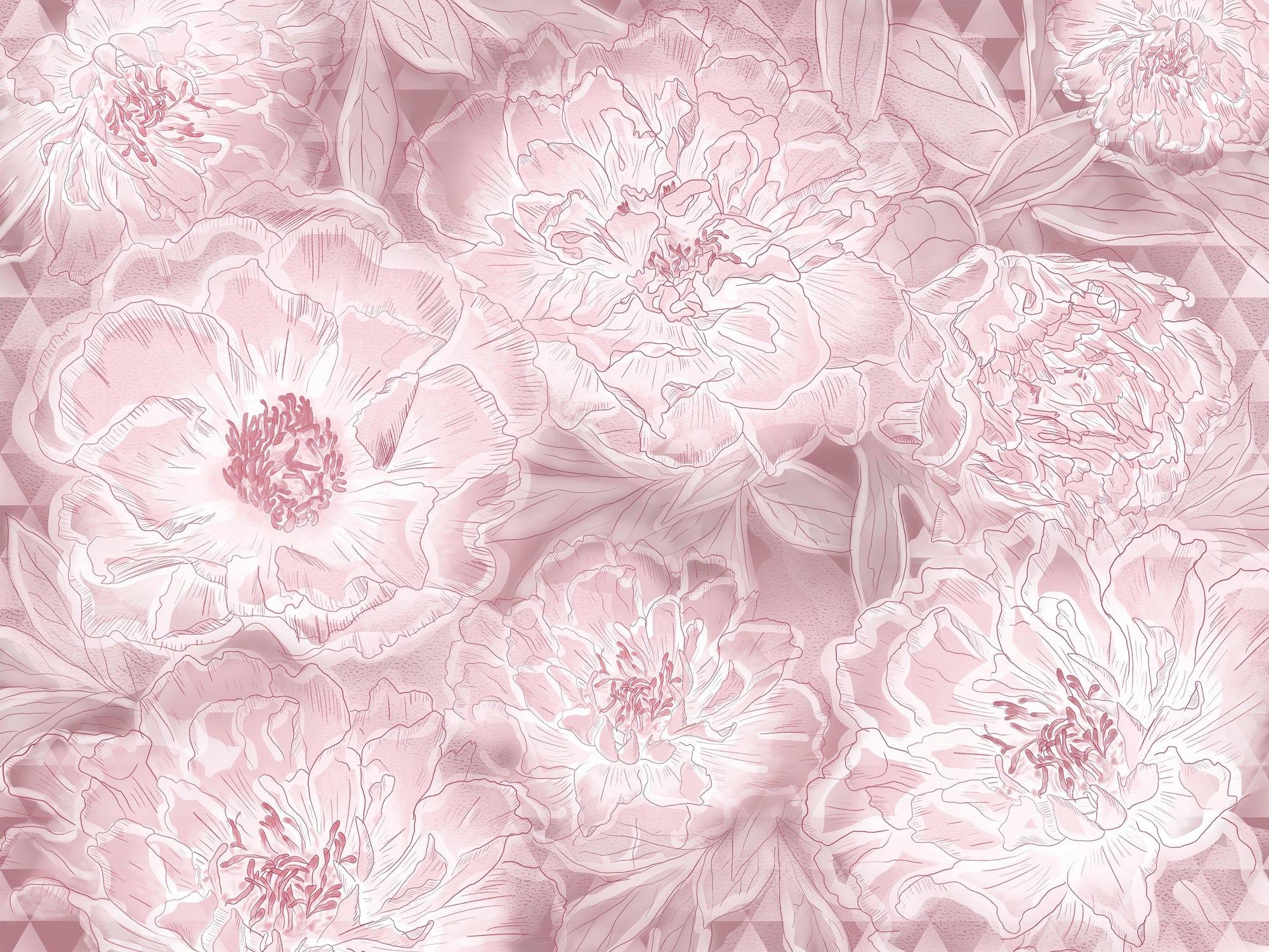 Blush Peony Botanical Wallpaper