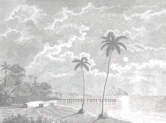 Vintage Tropical Moonlit Beach Mural