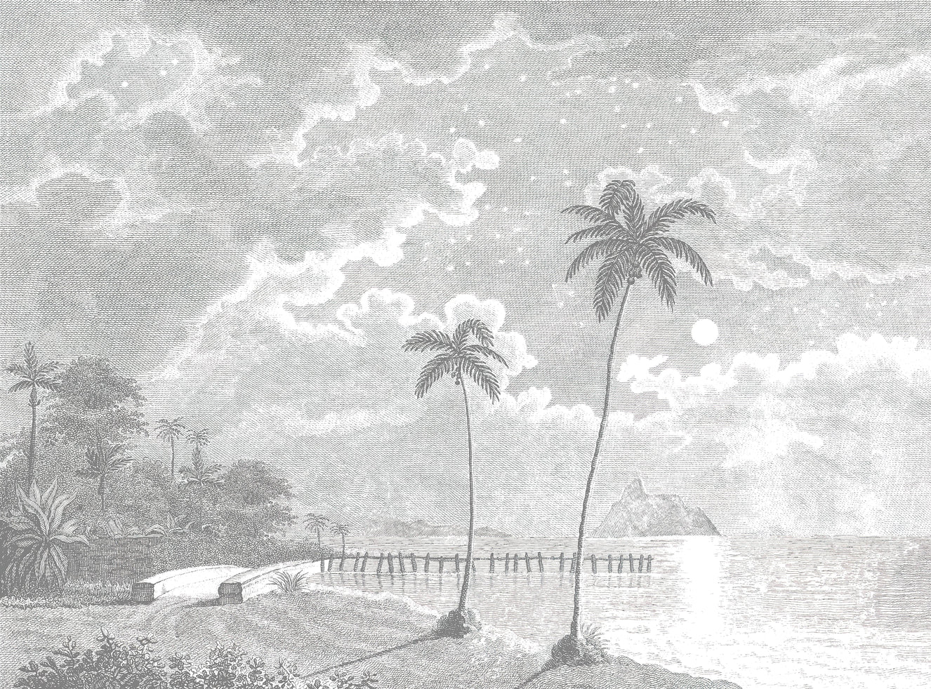Vintage Tropical Moonlit Beach Mural