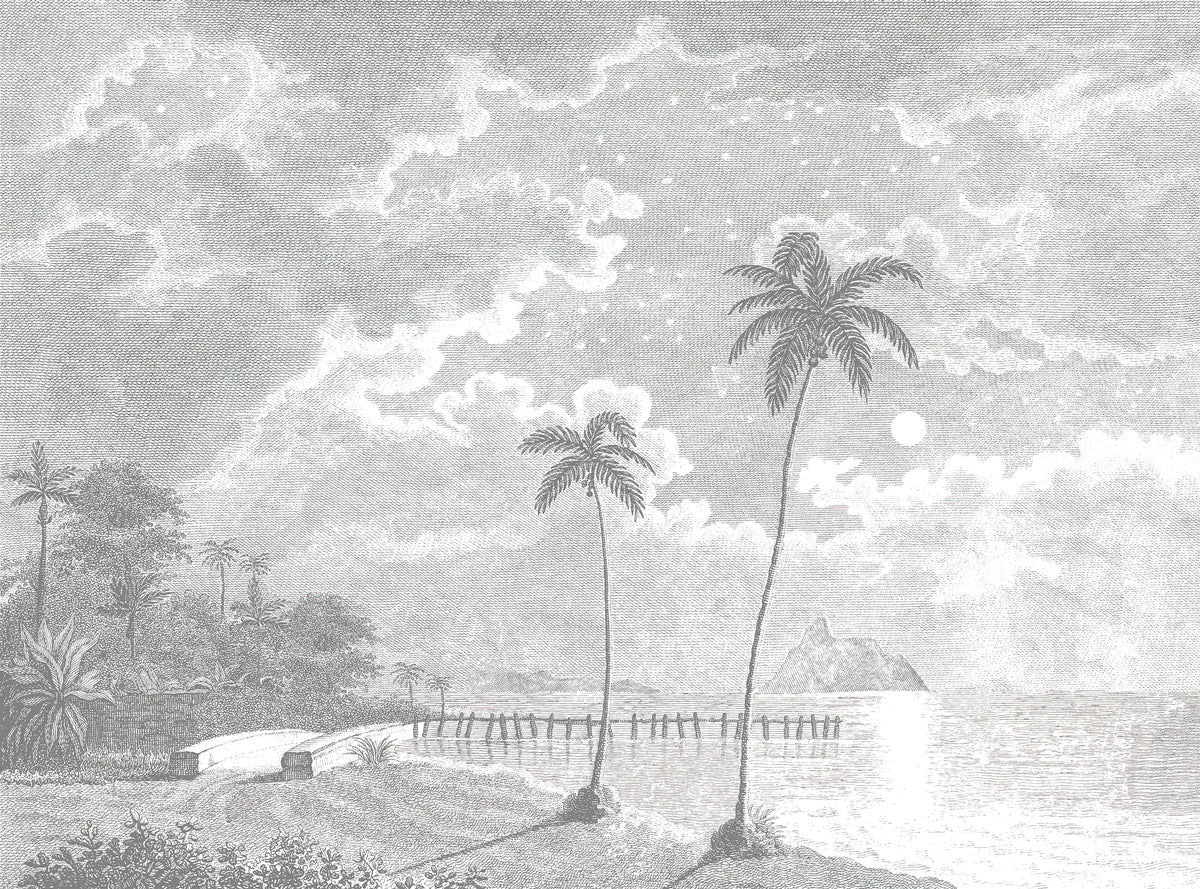 Vintage Tropical Moonlit Beach Mural