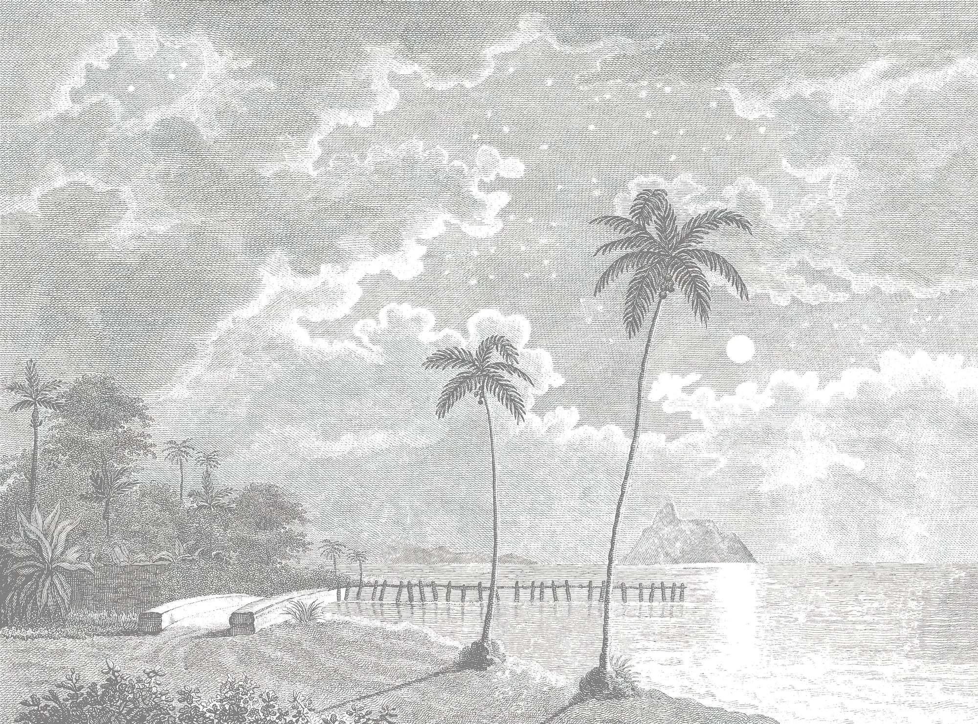Vintage Tropical Moonlit Beach Mural