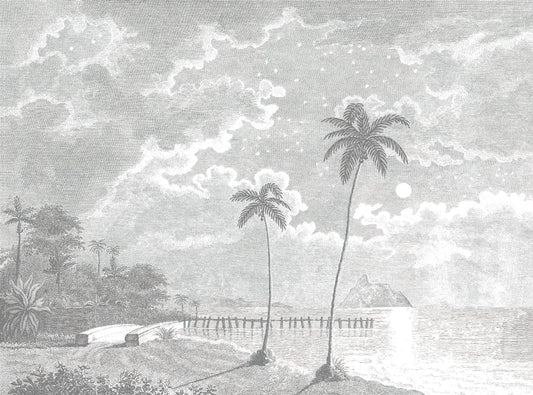 Vintage Tropical Moonlit Beach Mural