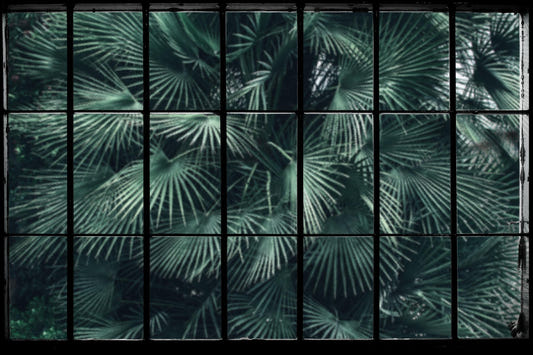 Tropical Palm Leaves Window Mural