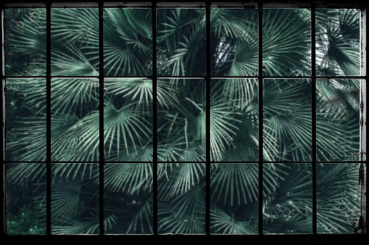 Tropical Palm Leaves Window Mural