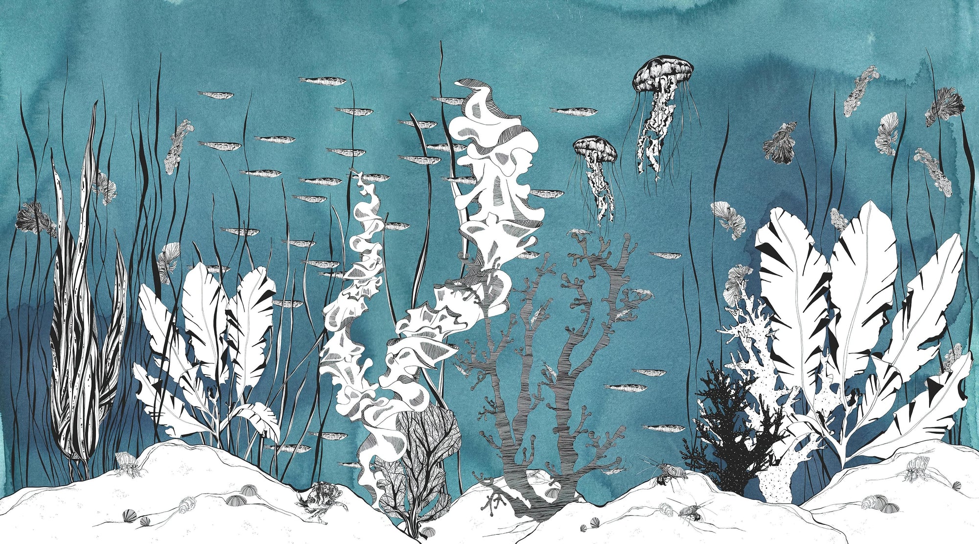 Artistic Underwater Botanical Wallpaper