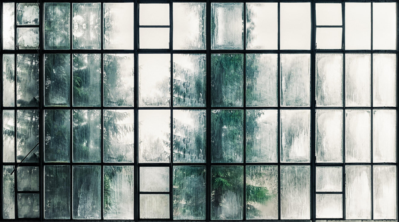 Fogged Industrial Window Mural