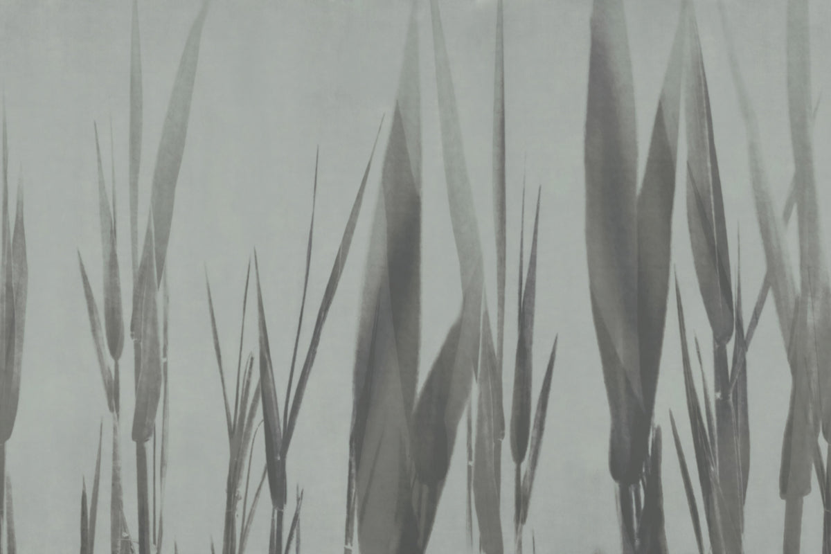 Tranquil Grassland Botanical Wallpaper in your room — zoomed