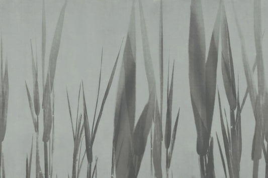 Tranquil Grassland Botanical Wallpaper