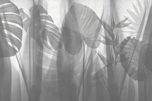 monochrome Tropical Leaves Wallpaper